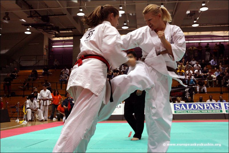 Otwarte Międzynarodowe Mistrzostwa Ameryk w Karate Kyokushin