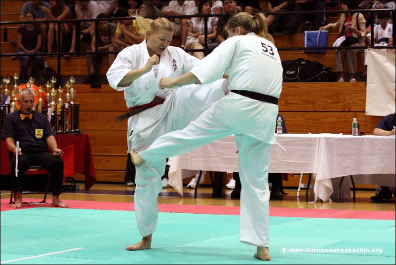 Otwarte Międzynarodowe Mistrzostwa Ameryk w Karate Kyokushin